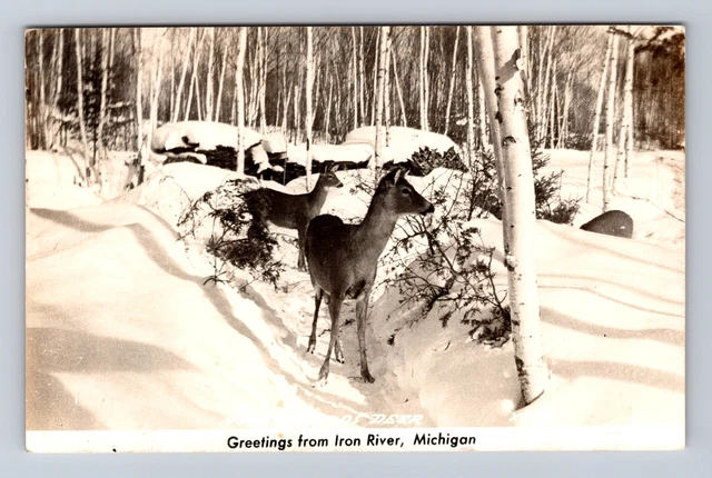Iron River MI-Michigan RPPC, Scenic Greetings, Deer Winter, Vintage Postcard
