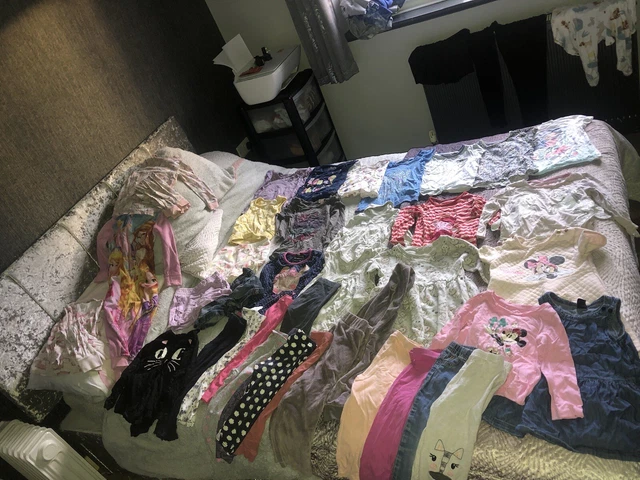 Large 2-3 year girls bundle