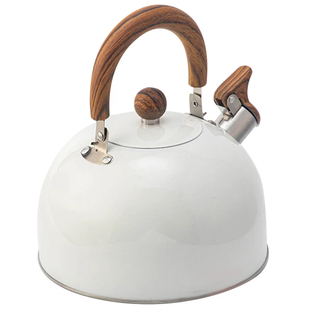 Pot d'eau chaude siffler la bouilloire