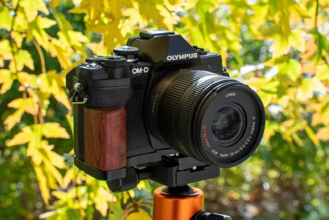 Fotodiox DLX Metallgriff für Olympus OM-D E-M10 Mk IV Kamera mit Batteriezugang