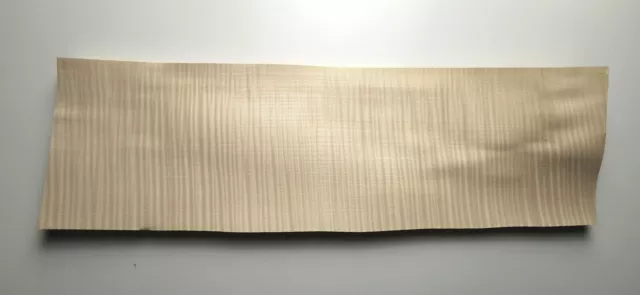 7x Érable ondé 53 x 15 cm ép 0.6mm (marqueterie, bois, luthier, sycomore) L41