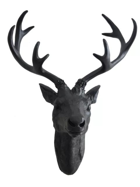 Hirschgeweih in schwarz - 10 Ender 40x30 cm - Hirschkopf Wand Deko Jagd Geweih