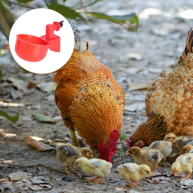 2Stk. Automatische Huhn Bewässerung Tasse Trinken Geflügel Vogel System