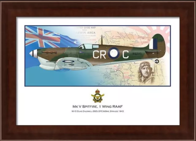 WWII WW2 RAAF MkV Spitfire Aviation Art Profile Photo Print - #2 of 3 2