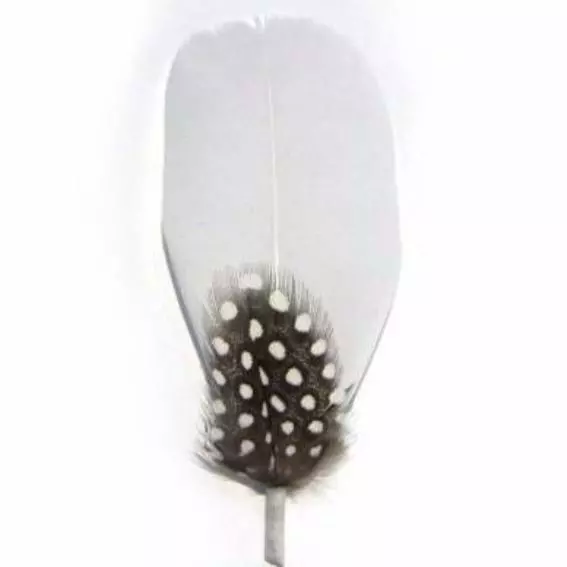 New Feather Hat Mount - Style 16 - Wholesale Feathers & Craft Supplies