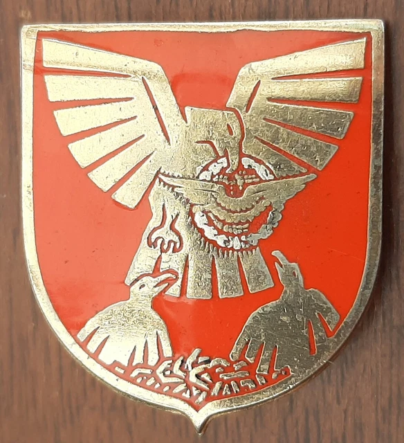 BG8716 - INSIGNE BADGE AMIS DE TOURCOING