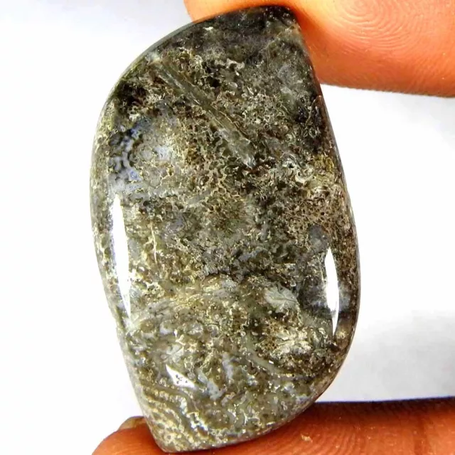 28.75 Ct Natural Fossil Coral Fancy Cabochon Loose Gemstone