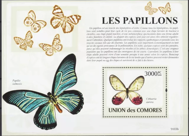 Comores Iles 2009 Papillon Papillons Insectes Nature Protection m s MNH