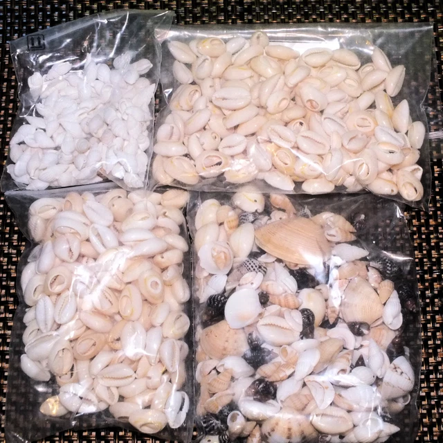 475g mixed beads, SHELLS. Various seashell beads, etc. Job lot bulk clearance