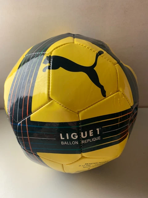 Ballon Collector Ligue 1 Puma Saison 2010 - Neuf