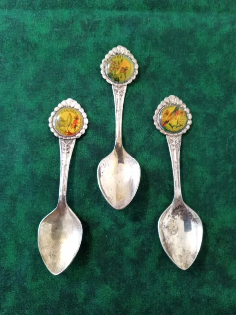Antique Silver Plated Souvenir State Spoons (3) w/ Birds/Flowers Made in Holland