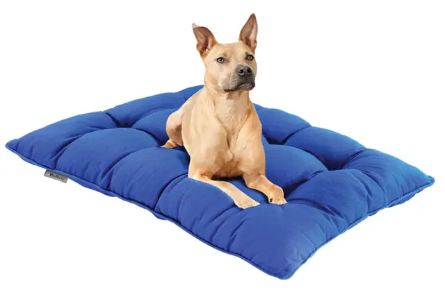 Dog Bed For Pets Cat Puppy Bed Soft Comfy Calming Washable Small Medium Large UK
