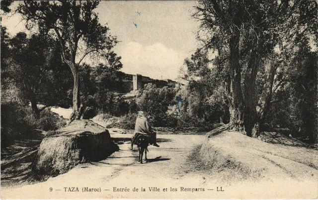 CPA AK TAZA Entrée de la Ville et les Remparts MAROC (23646)