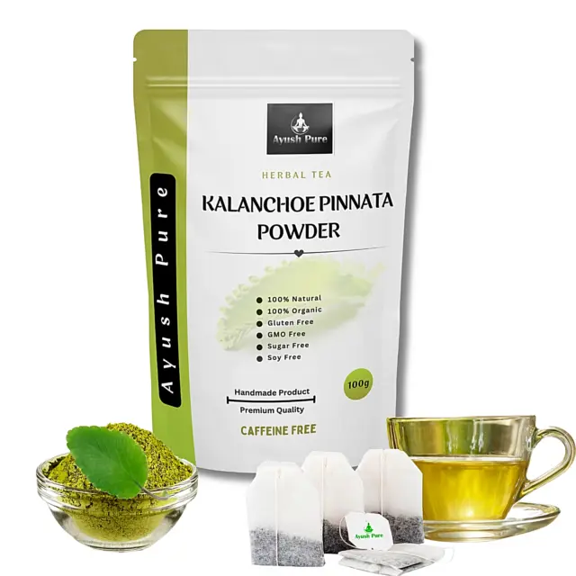 Kalanchoe Pinnata Powder Healthy Pure Leaves Powder  Grade A