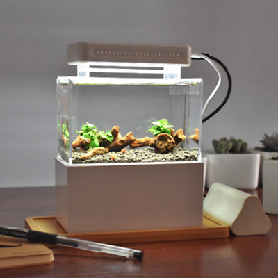 Mini Plastic Fish Tank Portable Desktop Aquaponic Aquarium Betta Fish Bowl With 2