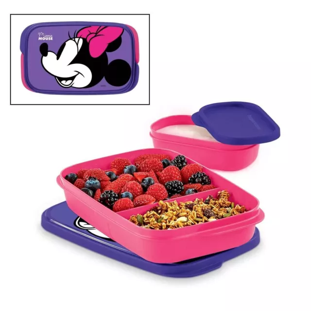 NEW Tupperware divided slim lunch container with sm insert pink purple  vineyard