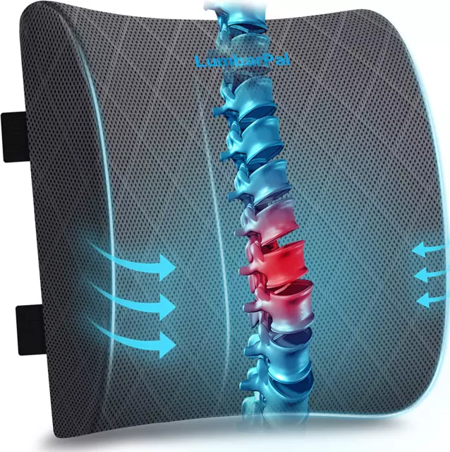 Ping De Lumbar Apoyo Volver Almohada Cojin Para Coche Oficina Silla Memoria