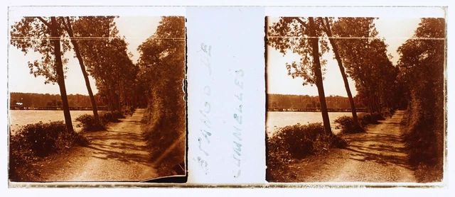 FRANCE Ponds de Commelle Oise c1930 Photo Stereo Glass Plate Vintage V15L33 2