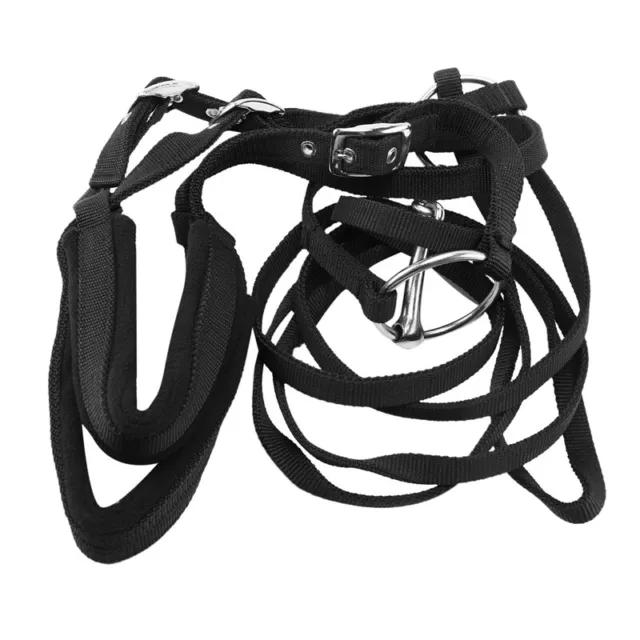 Adjustable Horse Riding Equipment Halter Horse Bridle with Bit and Rein6960