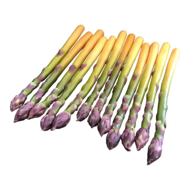 Artificial Asparagus Stalks Spears Plastic Faux Fake Vegetables Staging Décor 12