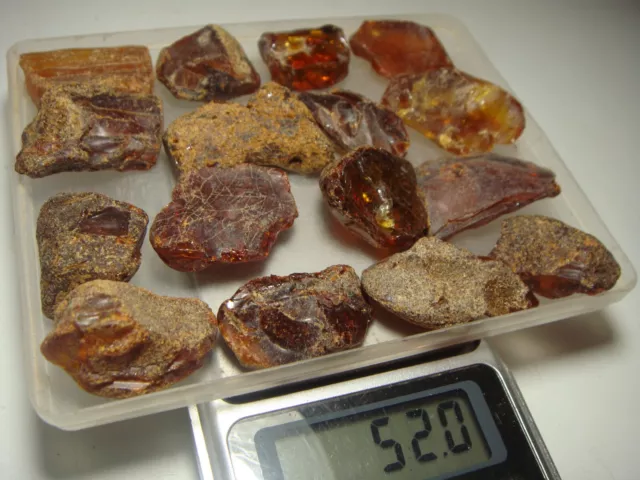 AMBER / raw baltic stones bernstein natural bursztyn baltycki genuine 琥珀 (e669