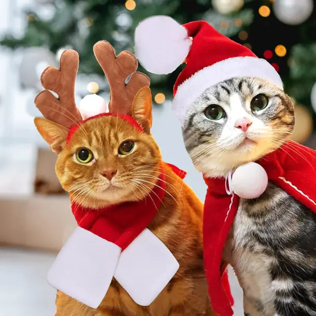 - Costume Natalizio per Animali Domestici, Con Mantello, Cappello Da Babbo Natal