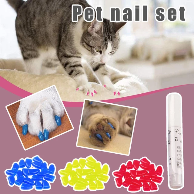 20 pz/lotto tappi per unghie di gatto colorati artiglio morbido gatto zampe morbide colla per animali domestici regalo: E6E6