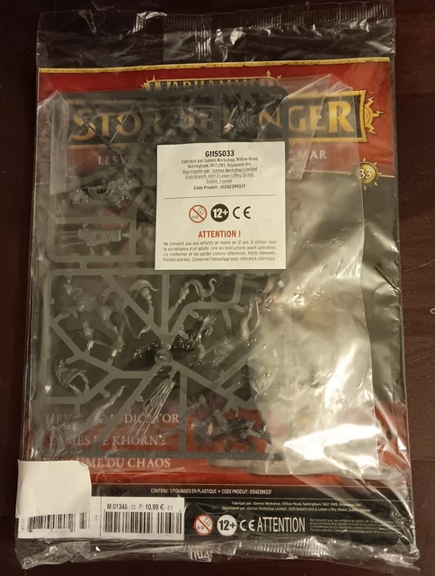 X2 Gardes Dracorage Plastique Warhammer AOS – Stormcast Eternals (P-00GSA)