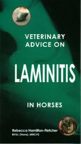 Veterinary Advice on Laminitis in Horses (V... by Hamilton-Fletcher, R Paperback
