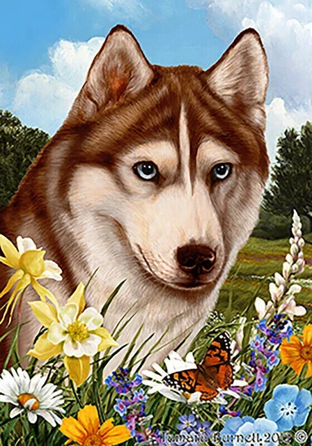 Summer Garden Flag - Blue-Eyed Red and White Siberian Husky 184391