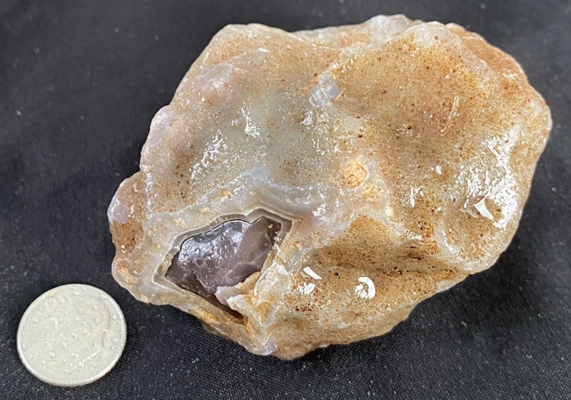 Rare Rough Botswana Agate whole nodule “THE EGGPLANT BANDIT” 7.1 Ounces B10