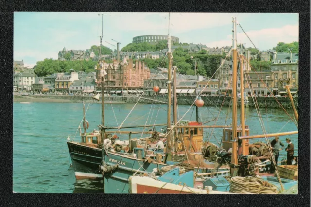 Oban From The Pier 1970's ? Postcard ~ Scotland