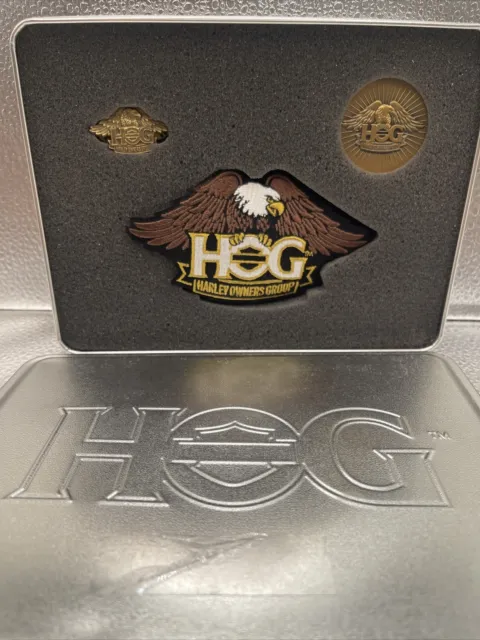 Large Eagle Gold Patch ~ Harley Davidson Owners Group HOG w/pin Welcome Kit—2013
