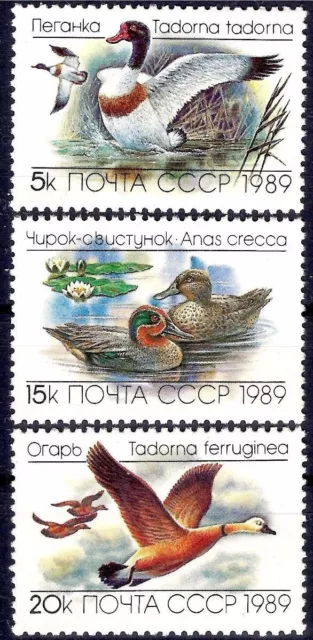 Russia 1989 Ducks  Gooses Birds Wildlife Nature Water Lily Lilies 3v set MNH