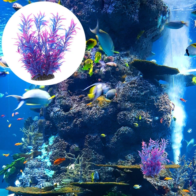 Planta acuática - tanque de peces planta acuática acuario decoración de plantas tanque de peces capturado