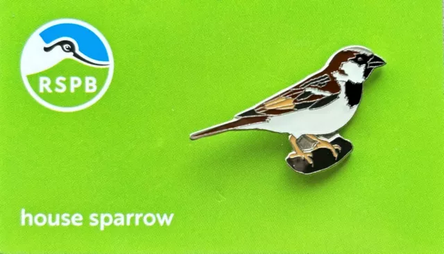 RSPB Pin Badge House Sparrow NIIC P03139