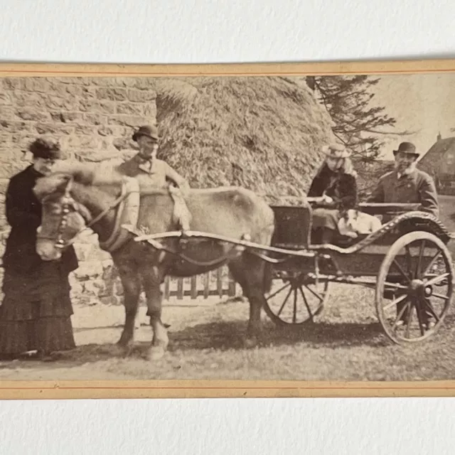 Antique CDV Photograph Donkey Pulling Cart Woman Dog Farm Marske By The Sea UK
