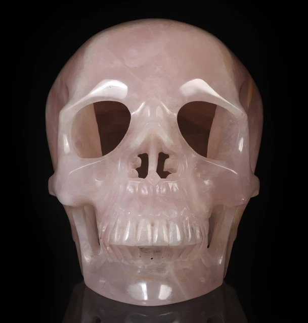 Cráneo tallado cristal de cuarzo rosa/rosa natural de 9,92" curación metafílica