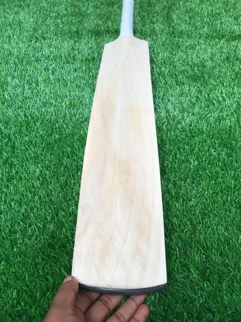KASHMIR Willow Plain Grade A Batte de cricket pour balle de tennis...