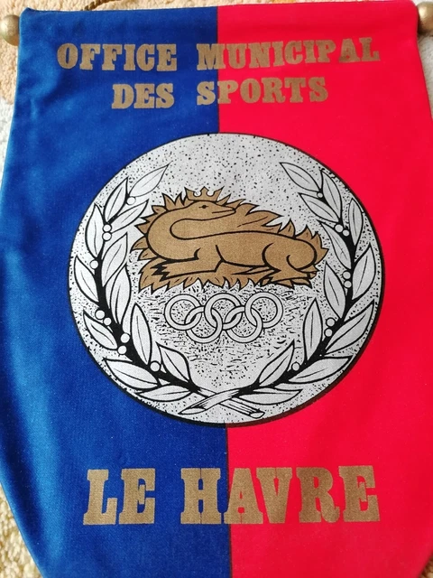 FFF LIGUE CORSE de football LCF ancien fanion vintage foot pennant wimpel EUR 30,90 - FR