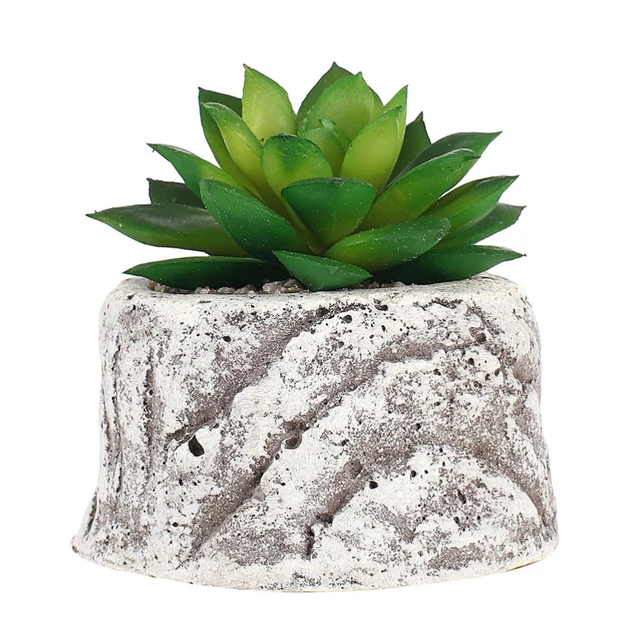 Simulation Sukkulenten Topfpflanzen Künstliche Bonsai Home Decoration