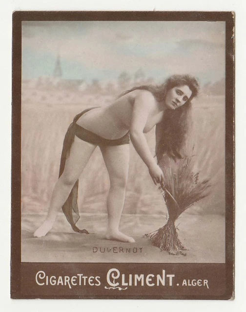 Cigarettes Climent Algeria Tobacco Card - bodystocking nude - Duvernoy