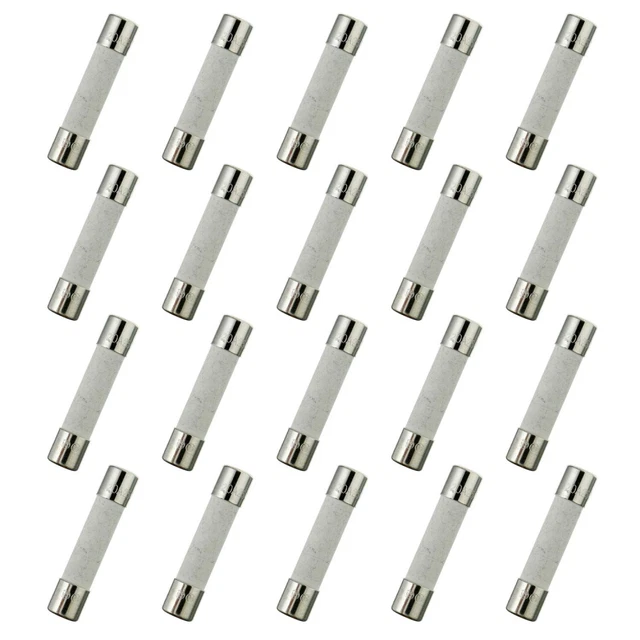 HUAREW T20AL250V 20 pièces 6x30 mm 0.24 x 1.18 pouces fusible à tube en T20A