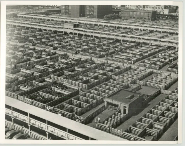 UNION STOCKYARDS Chicago IL Cattle Pens Bird's Eye View Press Photo 1939