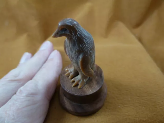 (TB-PENG-2) little tan Penguin shed ANTLER figurine Bali detailed ice bird