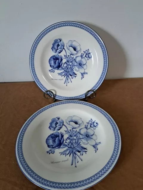 Vintage Doulton Everyday Blue Botanic  Anemone Simple (2)  Dinner Plates.