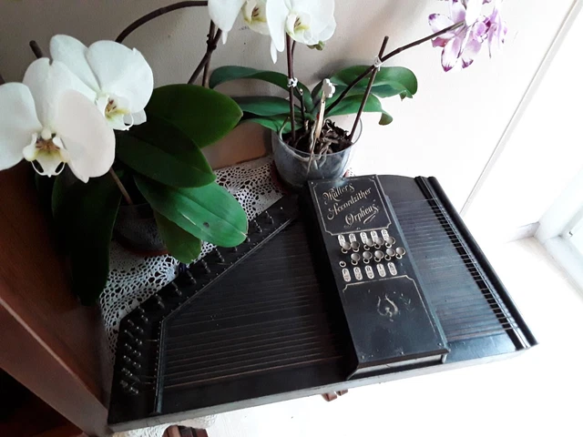Strumento Musicale Antico Cetra Mullers Accordzither Orpheus