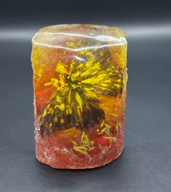 Wonderful Amazing ancient amber with fossilized million year old insect