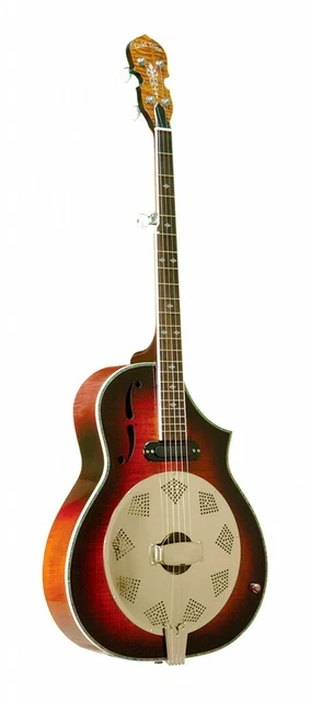 GOLD TONE Dojo Dlx Deluxe Résonateur Banjo Avec Cutaway