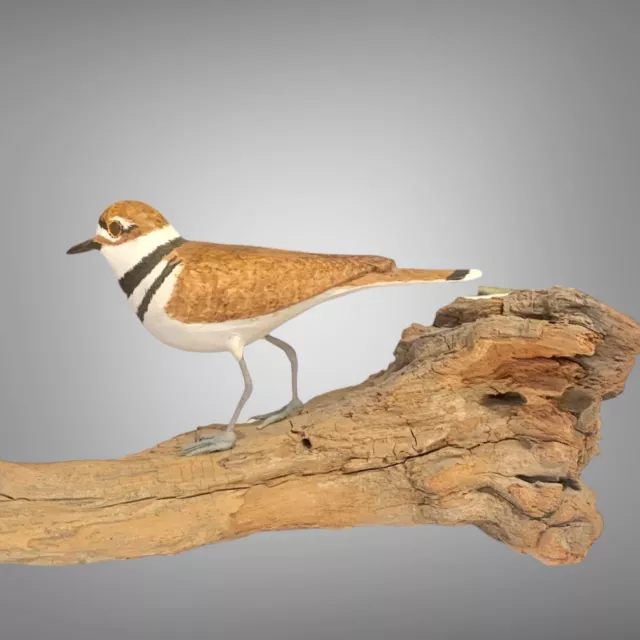 Killdeer Bird Carving on Driftwood Hand Painted Art Wood Brown